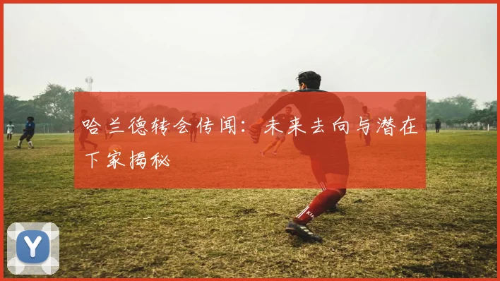 哈兰德转会传闻:未来去向与潜在下家揭秘