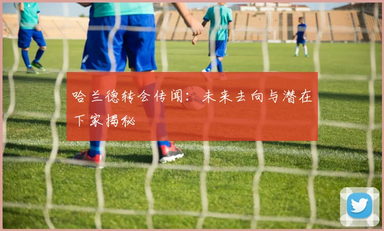 哈兰德转会传闻：未来去向与潜在下家揭秘