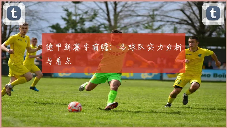 德甲新赛季前瞻：各球队实力分析与看点